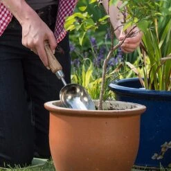 New Release -Quality Garden Care Store 1002024 1