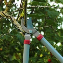 Kent & Stowe General Purpose Loppers -Quality Garden Care Store 1031094 3