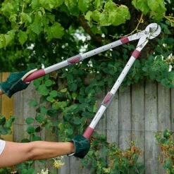 Kent & Stowe Telescopic Geared Anvil Loppers 5 Kent & Stowe Telescopic Geared Anvil Loppers -Quality Garden Care Store 1031097 2