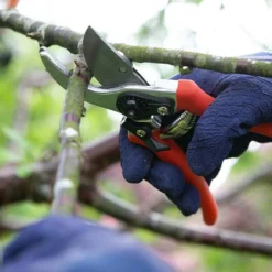 Wilkinson Sword Folding Pruner Saw & Pruner Set -Quality Garden Care Store 1140375 2