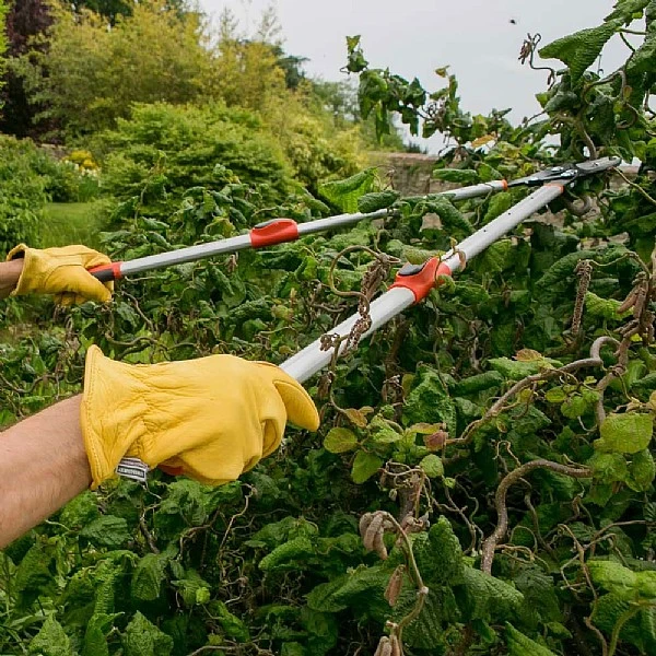 Wilkinson Sword Telescopic Anvil Loppers 2 Wilkinson Sword Telescopic Anvil Loppers - Image 2