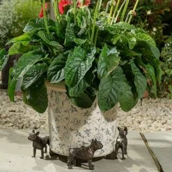 Jardinopia Plant Pot Feet Bronze French Bulldog -Quality Garden Care Store 1177301 3