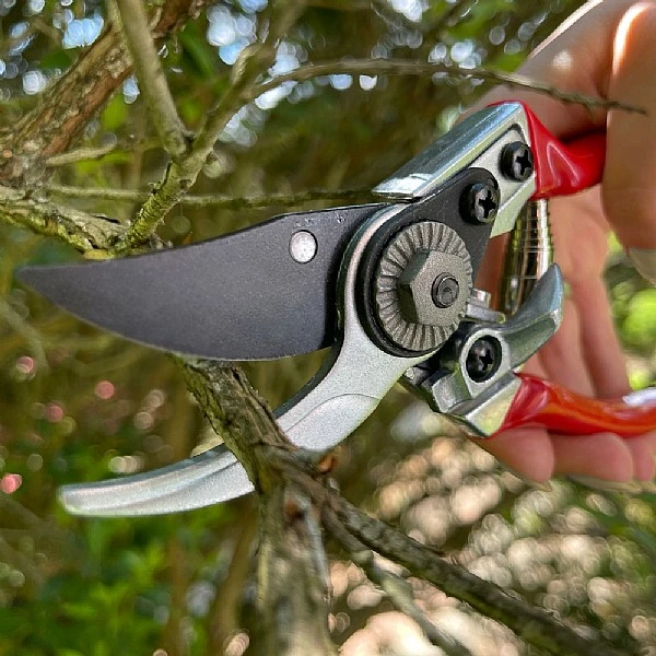 Darlac Small Bypass Pruner 2 Darlac Small Bypass Pruner - Image 2