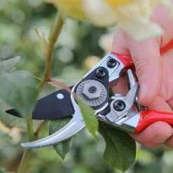Darlac Small Bypass Pruner 7 Darlac Small Bypass Pruner -Quality Garden Care Store 1202088 4