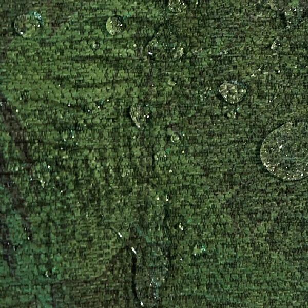 Madison Ruiz Green Carpet 2 Madison Ruiz Green Carpet - Image 2