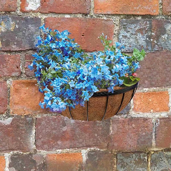 Smart Garden Saxon Wall Manger 16" (40cm) 2 Smart Garden Saxon Wall Manger 16" (40cm) - Image 2