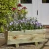 Tom Chambers Hidcote Trough PlanterNatures Range (FSC)