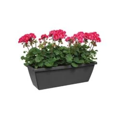Elho Barcelona 90cm Trough (Various Colours) -Quality Garden Care Store BARCTROUGH90 2