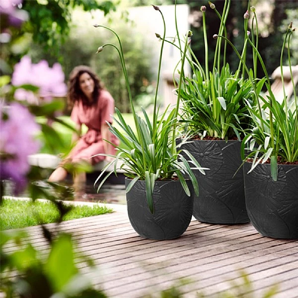 Elho Fuente 47cm Lily Round Planter (Various Colours) 1 Elho Fuente 47cm Lily Round Planter (Various Colours)