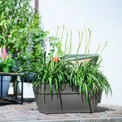 Elho Vibia Campana Trough 70cm (Various Colours)