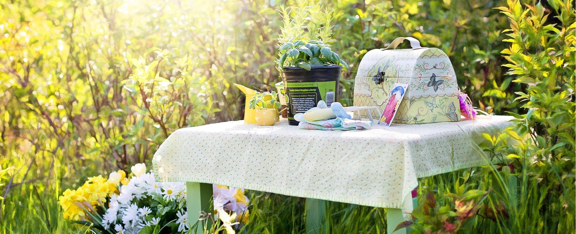 Quality Garden Care Store 1 Quality Garden Care Store -Quality Garden Care Store planting 780738 1920